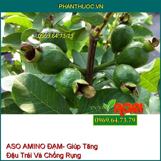 ASO AMINO ĐẠM- Tăng Đậu Trái, Chống Rụng, Mát Cây, Mát Bông