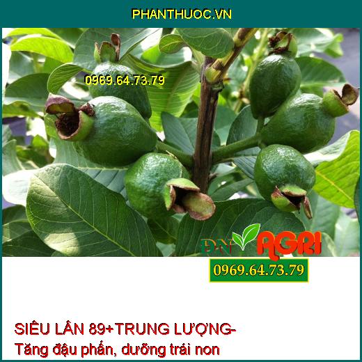 SIÊU LÂN 89+TRUNG LƯỢNG- Phân Hóa Mầm Hoa, Xử Lý Ra Hoa Trái Vụ