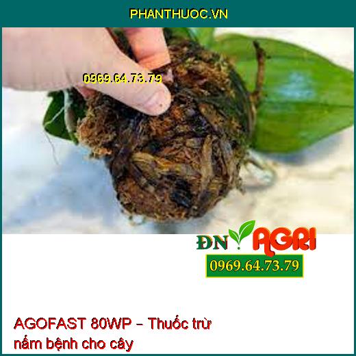 AGOFAST 80WP – Thuốc trừ nấm bệnh cho cây