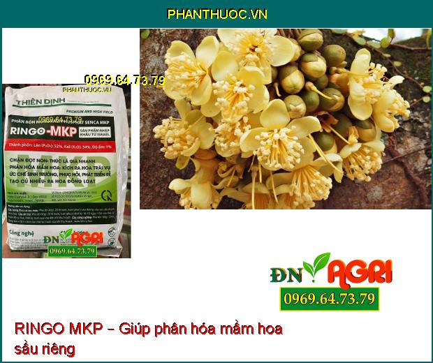 RINGO MKP – PHÂN BÓN KÍCH THÍCH RA HOA TRÁI VỤ, PHÁT TRIỂN RỂ, CỦ NHIỀU