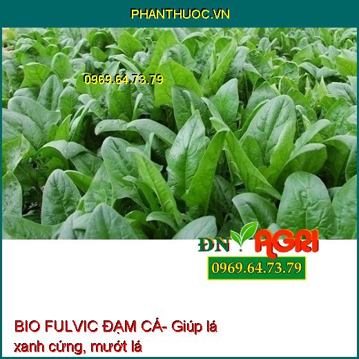 BIO FULVIC ĐẠM CÁ- Ra Rễ Cực Mạnh,Cứng Cây, Tăng Ra Hoa, Đậu Trái, Cải Tạo Đất