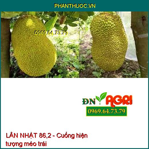 LÂN NHẬT 86,2 – CHUYÊN TẠO MẦM HOA, KÍCH THÍCH RA HOA ĐỒNG LOẠT