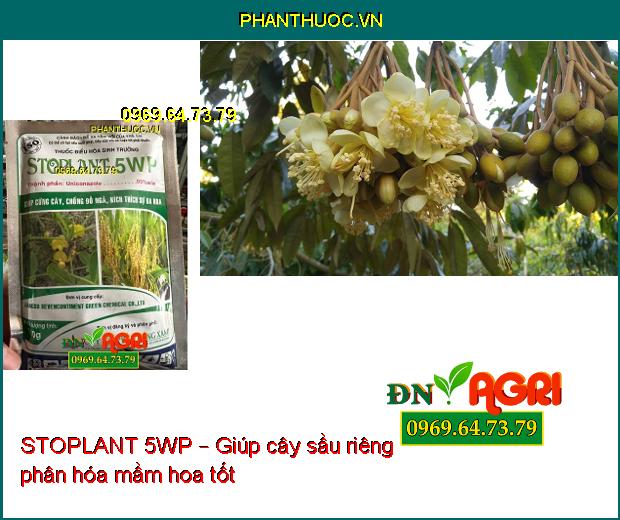 THUỐC ĐIỀU HÒA SINH TRƯỞNG STOPLANT 5WP – CỨNG CÂY, CHỐNG ĐỖ NGÃ, KÍCH THÍCH RA HOA