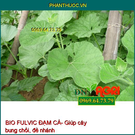 BIO FULVIC ĐẠM CÁ- Ra Rễ Cực Mạnh,Cứng Cây, Tăng Ra Hoa, Đậu Trái, Cải Tạo Đất