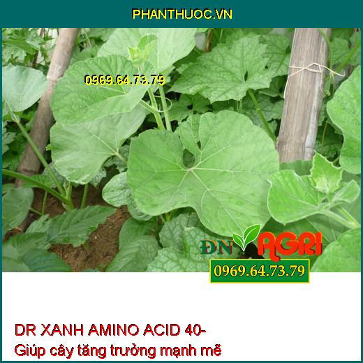 AB07 DR XANH AMINO ACID 40- Xanh Cây, Dày Lá, Mát Bông, Nuôi Trái, Neo Trái Xanh Lá