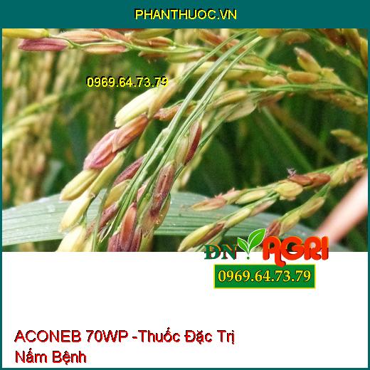 ACONEB 70WP -Thuốc Đặc Trị Nấm Bệnh