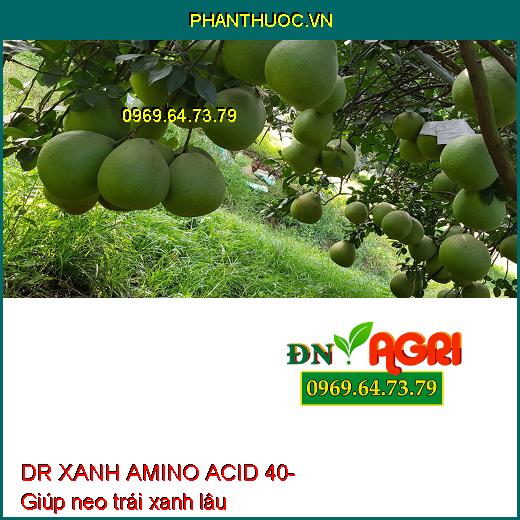 AB07 DR XANH AMINO ACID 40- Xanh Cây, Dày Lá, Mát Bông, Nuôi Trái, Neo Trái Xanh Lá