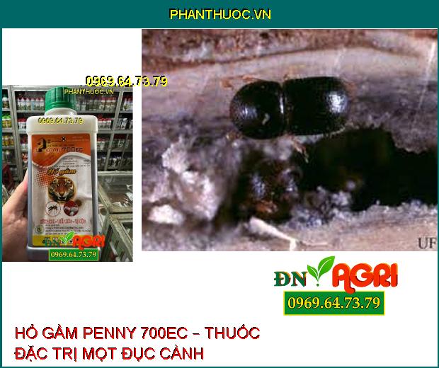 HỔ GẦM PENNY 700EC – THUỐC ĐẶC TRỊ RẦY, RỆP SÁP, TUYẾN TRÙNG CỰC HIỆU QUẢ