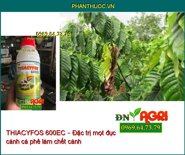 THIACYFOS 600EC – THUỐC ĐẶC TRỊ DIỆT TRỪ CÔN TRÙNG TỔNG HỢP