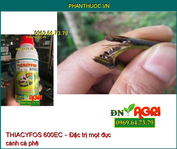 THIACYFOS 600EC – THUỐC ĐẶC TRỊ DIỆT TRỪ CÔN TRÙNG TỔNG HỢP