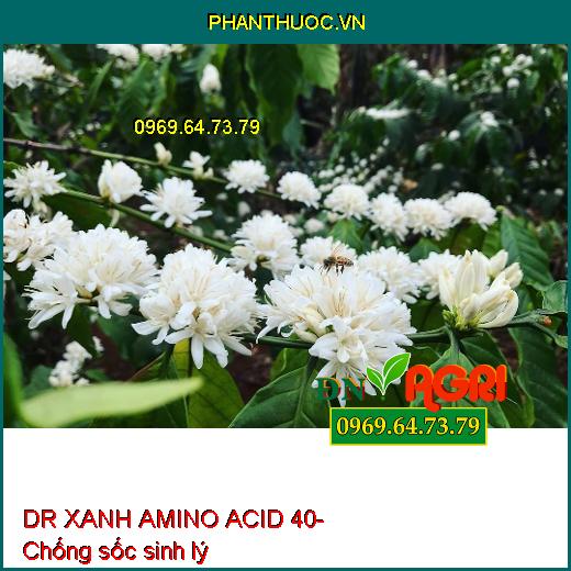 AB07 DR XANH AMINO ACID 40- Xanh Cây, Dày Lá, Mát Bông, Nuôi Trái, Neo Trái Xanh Lá