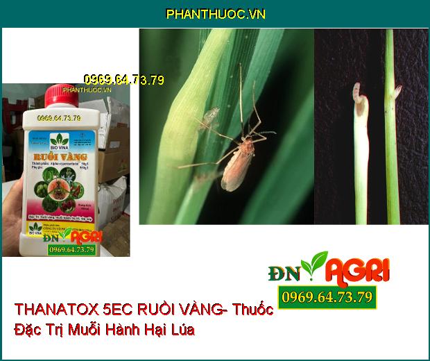 THANATOX 5EC RUỒI VÀNG- Thuốc Đặc Trị Ruồi Vàng, Muỗi Hành, Bọ Trĩ, Rệp Sáp