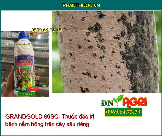 GRANDGOLD 80SC- Thuốc Đặc Trị Thán Thư, Ghẻ Sẹo, Xì Mủ, Cháy Lá, Nấm Hồng