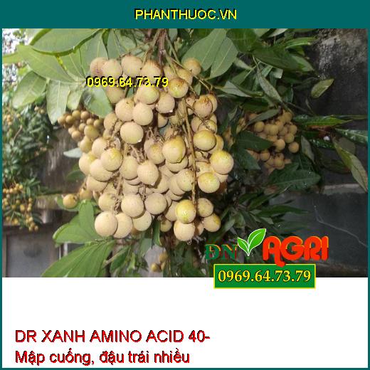 AB07 DR XANH AMINO ACID 40- Xanh Cây, Dày Lá, Mát Bông, Nuôi Trái, Neo Trái Xanh Lá