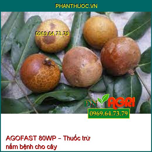 AGOFAST 80WP – Thuốc trừ nấm bệnh cho cây