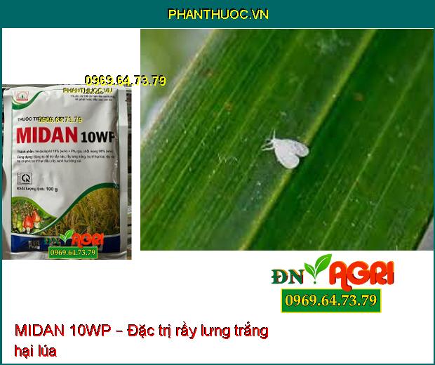 MIDAN 10WP – THUỐC TRỪ RẦY, RỆP, BỌ TRĨ HẠI CÂY TRỒNG