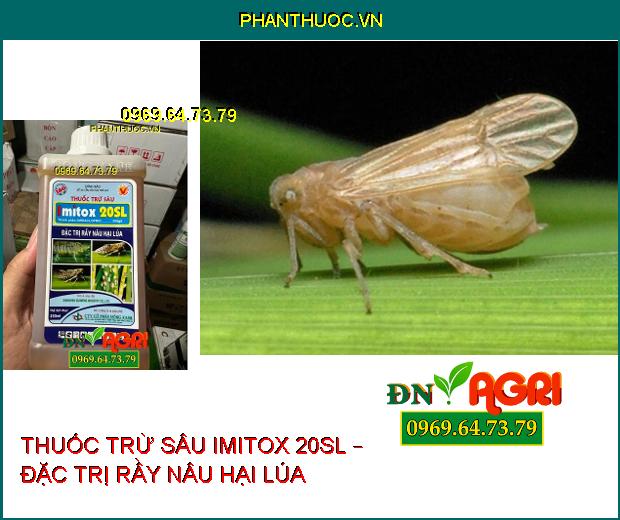 THUỐC TRỪ SÂU IMITOX 20SL – ĐẶC TRỊ RẦY NÂU – DIỆT SÂU TRƯỞNG THÀNH – SÂU NON VÀ TRỨNG