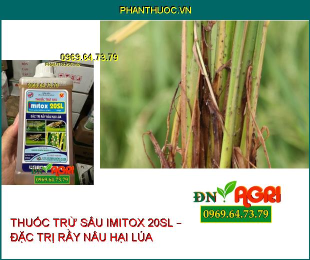 THUỐC TRỪ SÂU IMITOX 20SL – ĐẶC TRỊ RẦY NÂU – DIỆT SÂU TRƯỞNG THÀNH – SÂU NON VÀ TRỨNG