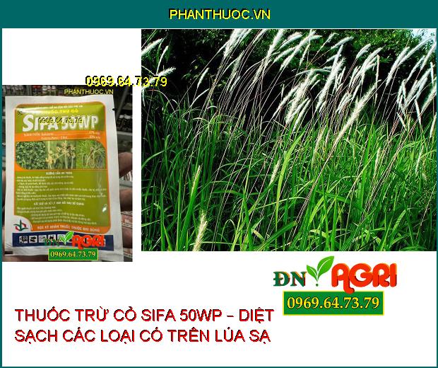 THUỐC TRỪ CỎ SIFA 50WP – DIỆT SẠCH CÁC LOẠI CÓ TRÊN LÚA SẠ 