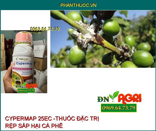 CYPERMAP 25EC -THUỐC ĐẶC TRỊ RỆP SÁP HẠI CÀ PHÊ, BỌ TRĨ, SÂU CUỐN LÁ, BỌ XÍT HÔI HẠI LÚA