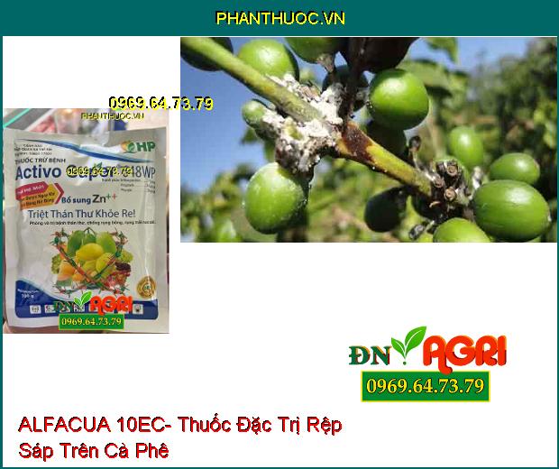 ALFACUA 10EC- Thuốc Đặc Trị Rệp Sáp, Bọ Xít Muỗi, Sâu Khoang, Sâu Đục Bẹ