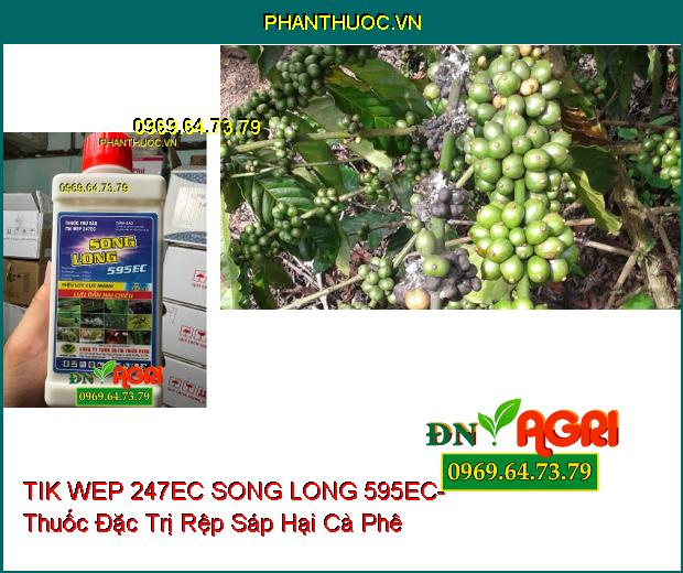 TIK WEP 247EC SONG LONG 595EC- Thuốc Đặc Trị Rầy Nâu, Rệp Sáp