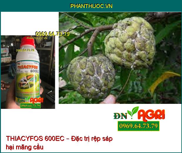 THIACYFOS 600EC – THUỐC ĐẶC TRỊ DIỆT TRỪ CÔN TRÙNG TỔNG HỢP