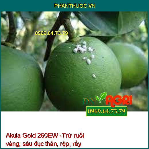 Akula Gold 260EW -Trừ ruồi vàng, sâu đục thân, rệp, rầy