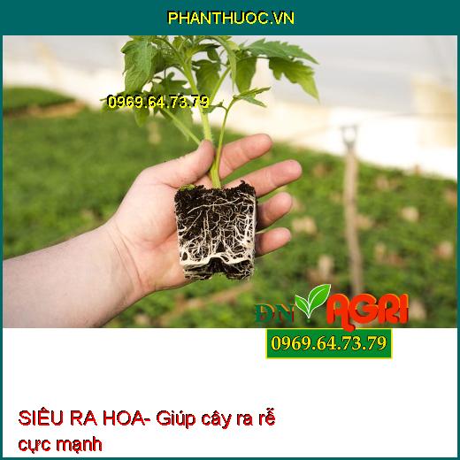 SIÊU RA HOA- Phân Bón Phân Hóa mầm Hoa, Ra Hoa Đậu Trái Đồng Loạt