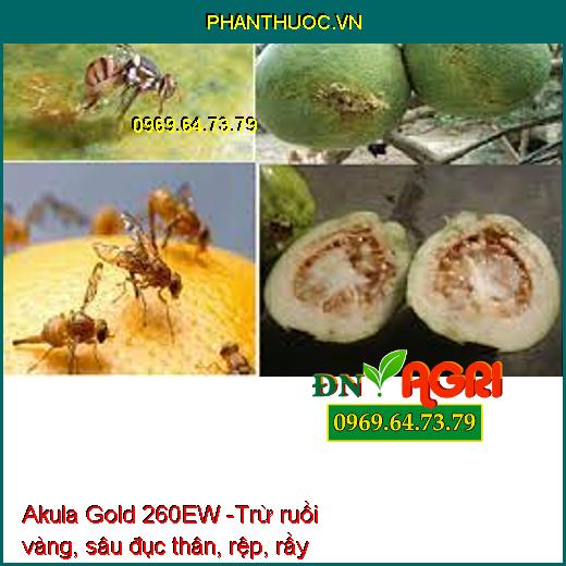 Akula Gold 260EW -Trừ ruồi vàng, sâu đục thân, rệp, rầy