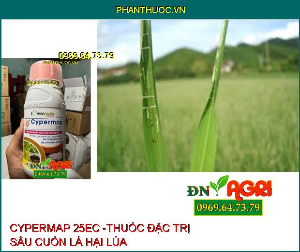 CYPERMAP 25EC -THUỐC ĐẶC TRỊ RỆP SÁP HẠI CÀ PHÊ, BỌ TRĨ, SÂU CUỐN LÁ, BỌ XÍT HÔI HẠI LÚA