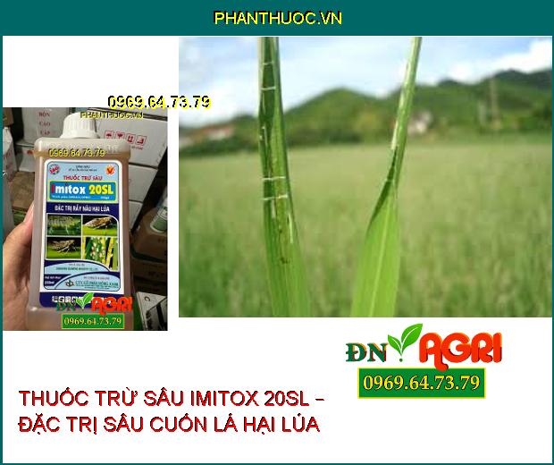 THUỐC TRỪ SÂU IMITOX 20SL – ĐẶC TRỊ RẦY NÂU – DIỆT SÂU TRƯỞNG THÀNH – SÂU NON VÀ TRỨNG