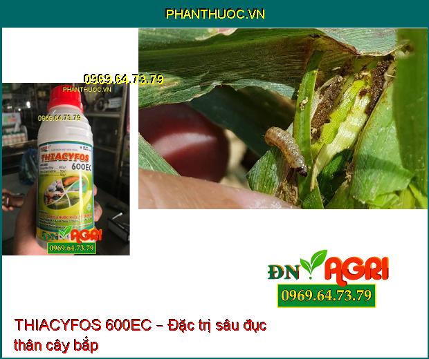 THIACYFOS 600EC – THUỐC ĐẶC TRỊ DIỆT TRỪ CÔN TRÙNG TỔNG HỢP