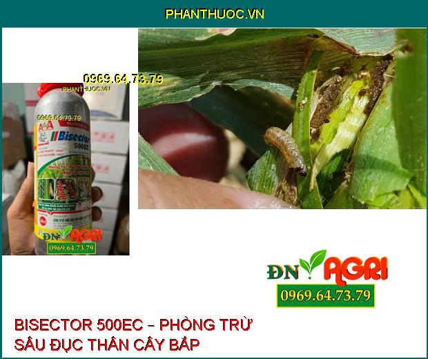 THUỐC TRỪ SÂU BISECTOR 500EC – PHÒNG TRỪ RÂY NÂU HẠI LÚA, RỆP SÁP HẠI CÀ PHÊ