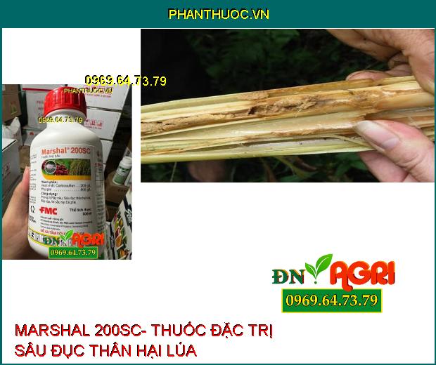 MARSHAL 200SC- Thuốc Đặc Trị Rầy Nâu, Sâu Đục Thân, Rệp Sáp, Ve Sầu