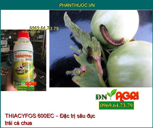 THIACYFOS 600EC – THUỐC ĐẶC TRỊ DIỆT TRỪ CÔN TRÙNG TỔNG HỢP