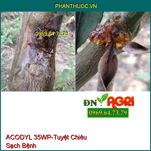 ACODYL 35WP-Tuyệt Chiêu Sạch Bệnh