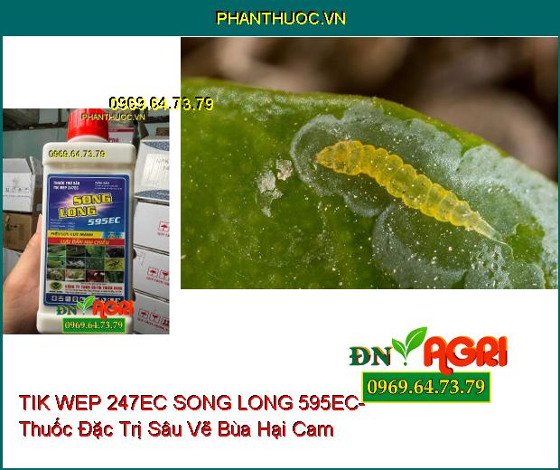 TIK WEP 247EC SONG LONG 595EC- Thuốc Đặc Trị Rầy Nâu, Rệp Sáp