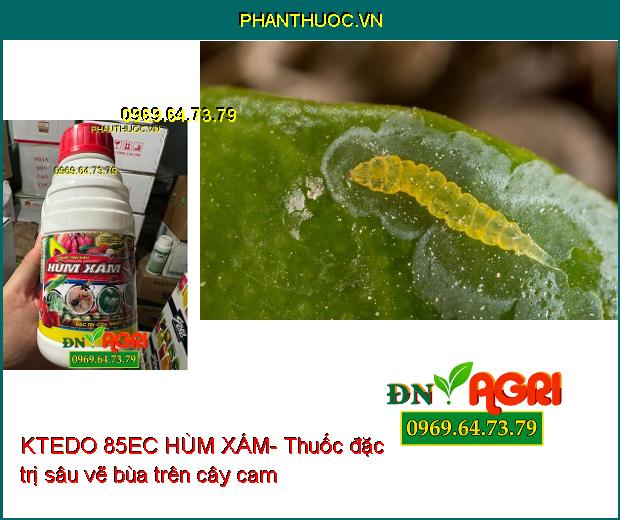 Rầy thánh giá Triệu chứng của rầy thánh giá bao gồm sự xuất hiện của các vết ố trắng hoặc nâu trên lá cây, chúng có thể nhìn thấy được với mắt thường. Khi số lượng rầy thánh giá tăng lên, các lá cây sẽ trở nên vàng hoặc nâu và có thể dẫn đến sự suy yếu và chết của cây trồng.