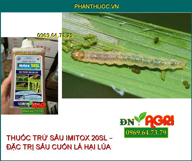 THUỐC TRỪ SÂU IMITOX 20SL – ĐẶC TRỊ RẦY NÂU – DIỆT SÂU TRƯỞNG THÀNH – SÂU NON VÀ TRỨNG