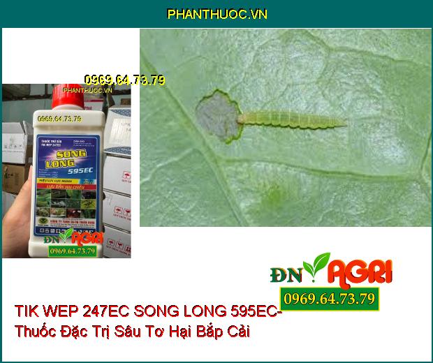 TIK WEP 247EC SONG LONG 595EC- Thuốc Đặc Trị Rầy Nâu, Rệp Sáp