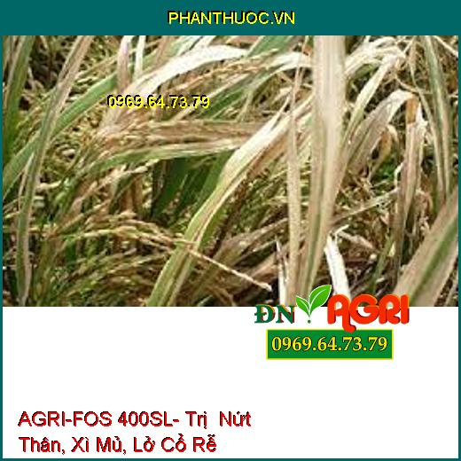 AGRI-FOS 400SL- Trị Nứt Thân, Xì Mủ, Lở Cổ Rễ