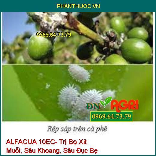 ALFACUA 10EC- Trị Bọ Xít Muỗi, Sâu Khoang, Sâu Đục Bẹ