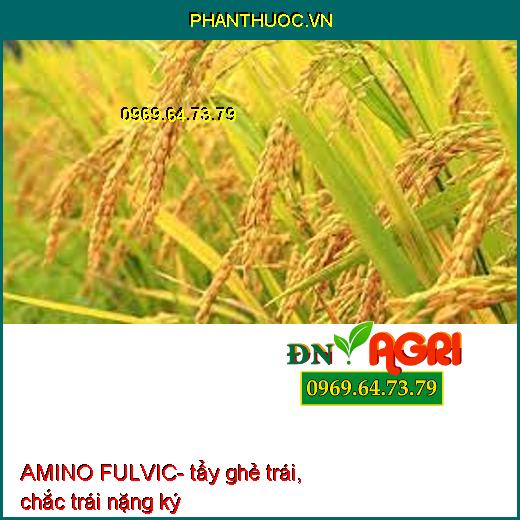 AMINO FULVIC tẩy ghẻ trái, chắc trái nặng ký