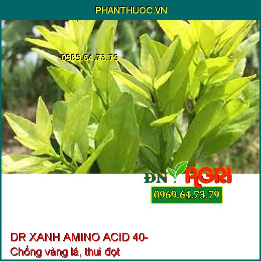 AB07 DR XANH AMINO ACID 40- Xanh Cây, Dày Lá, Mát Bông, Nuôi Trái, Neo Trái Xanh Lá