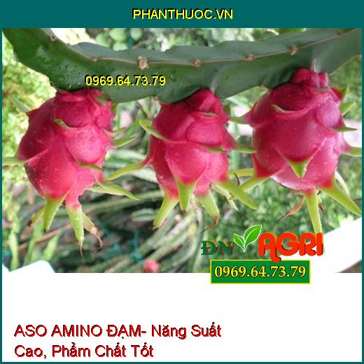 ASO AMINO ĐẠM- Tăng Đậu Trái, Chống Rụng, Mát Cây, Mát Bông