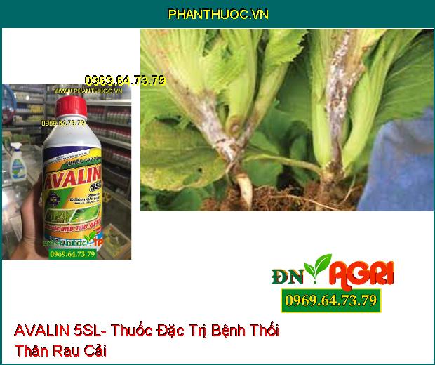 AVALIN 5SL- Thuốc Đặc Trị Bệnh Khô Vằn, Héo Rủ, Lở Cổ Rễ, Chết Nhanh, Nấm Hồng