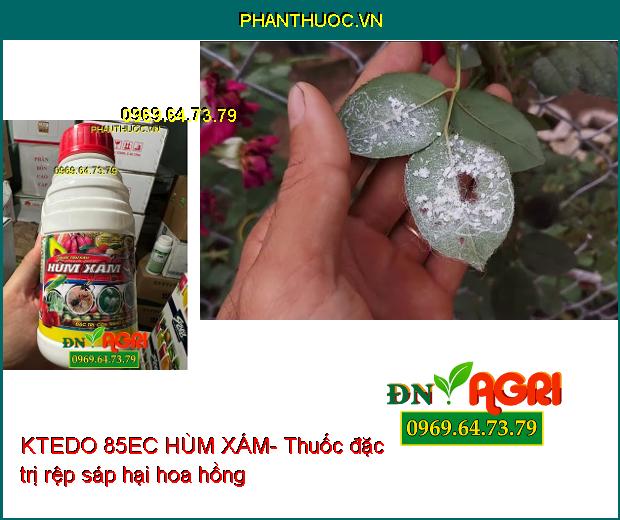 Rầy thánh giá Triệu chứng của rầy thánh giá bao gồm sự xuất hiện của các vết ố trắng hoặc nâu trên lá cây, chúng có thể nhìn thấy được với mắt thường. Khi số lượng rầy thánh giá tăng lên, các lá cây sẽ trở nên vàng hoặc nâu và có thể dẫn đến sự suy yếu và chết của cây trồng.