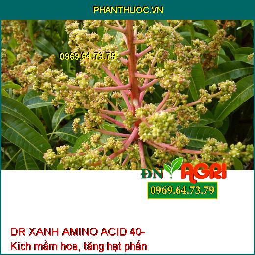 AB07 DR XANH AMINO ACID 40- Xanh Cây, Dày Lá, Mát Bông, Nuôi Trái, Neo Trái Xanh Lá