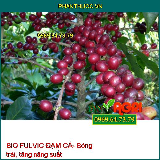 BIO FULVIC ĐẠM CÁ- Ra Rễ Cực Mạnh,Cứng Cây, Tăng Ra Hoa, Đậu Trái, Cải Tạo Đất